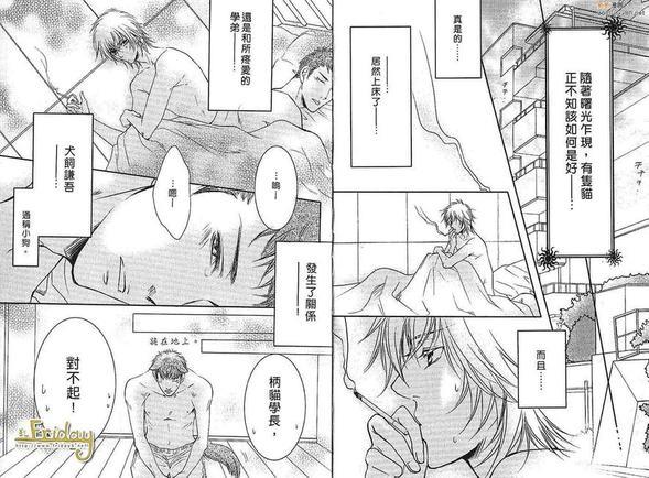 多情猫的真爱手札[耽美]韩漫全集-第1卷无删减无遮挡章节图片 