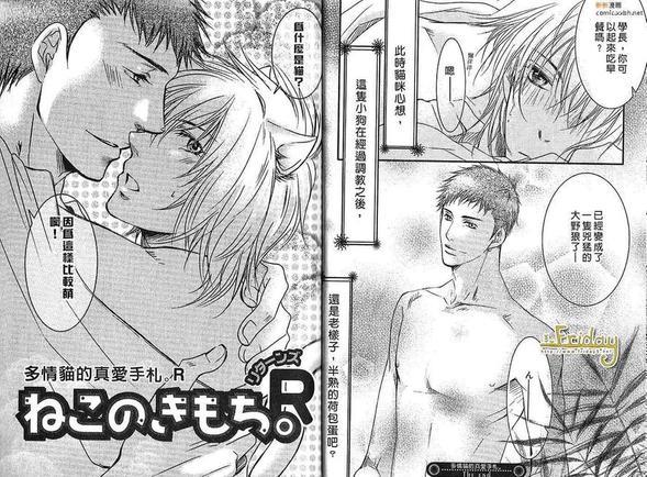 多情猫的真爱手札[耽美]韩漫全集-第1卷无删减无遮挡章节图片 