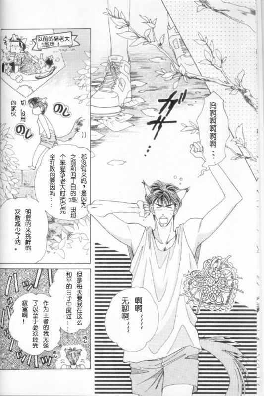 catfancy[耽美]韩漫全集-第1卷无删减无遮挡章节图片 