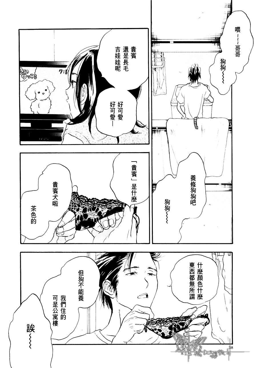 寄养犬辗转夜[耽美]韩漫全集-第1话无删减无遮挡章节图片 