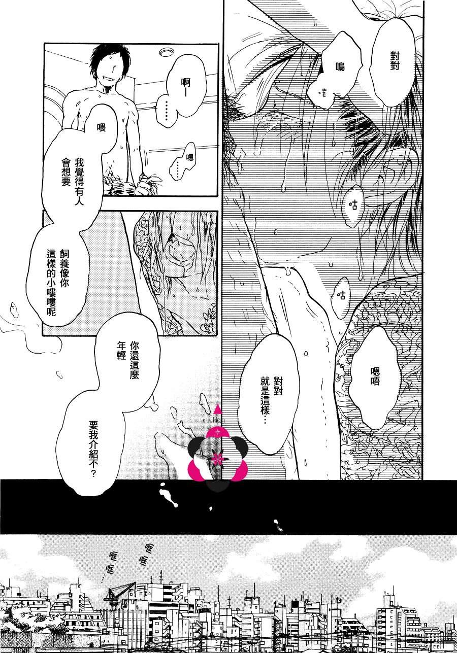 寄养犬辗转夜[耽美]韩漫全集-第3话无删减无遮挡章节图片 