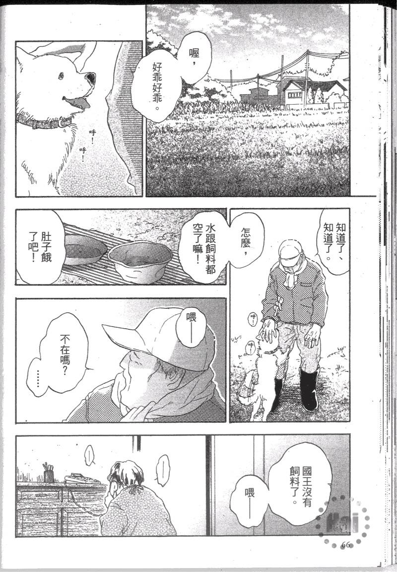 寄养犬辗转夜[耽美]韩漫全集-第8话无删减无遮挡章节图片 
