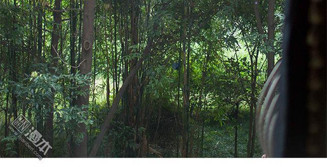 豪门风云之一往而深[耽美]韩漫全集-第5回无删减无遮挡章节图片 