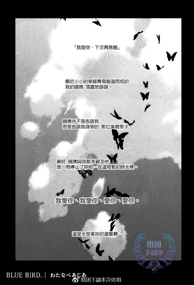 BLUEBIRD[耽美]韩漫全集-第1话无删减无遮挡章节图片 