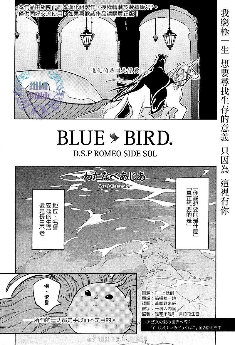 BLUEBIRD[耽美]韩漫全集-第1话无删减无遮挡章节图片 