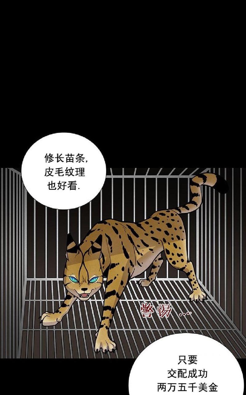 动物王国[耽美]韩漫全集-第1话无删减无遮挡章节图片 
