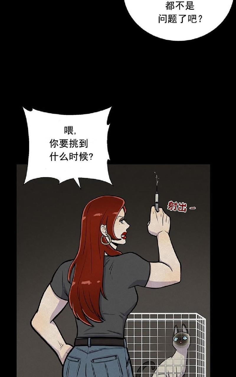 动物王国[耽美]韩漫全集-第1话无删减无遮挡章节图片 
