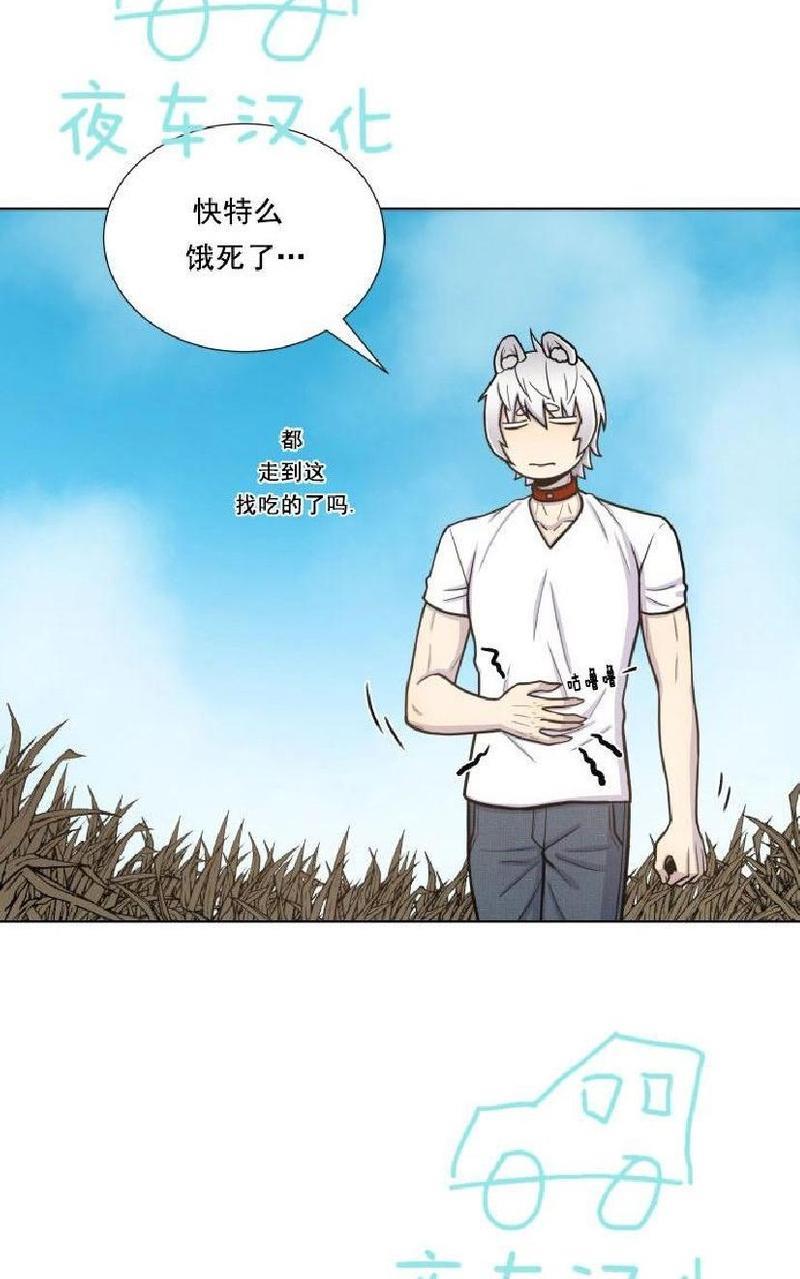 动物王国[耽美]韩漫全集-第39话无删减无遮挡章节图片 