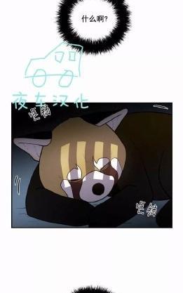 动物王国[耽美]韩漫全集-第45话无删减无遮挡章节图片 
