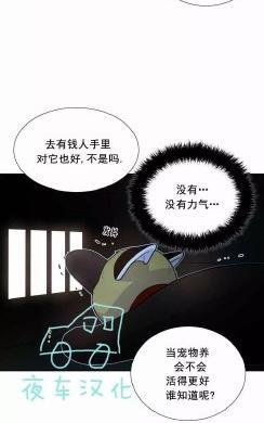 动物王国[耽美]韩漫全集-第45话无删减无遮挡章节图片 
