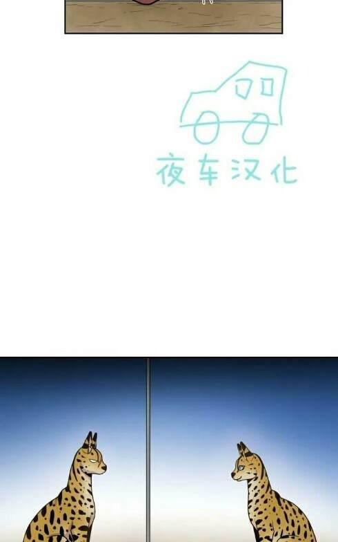 动物王国[耽美]韩漫全集-第49话无删减无遮挡章节图片 