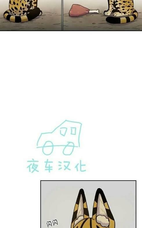 动物王国[耽美]韩漫全集-第49话无删减无遮挡章节图片 