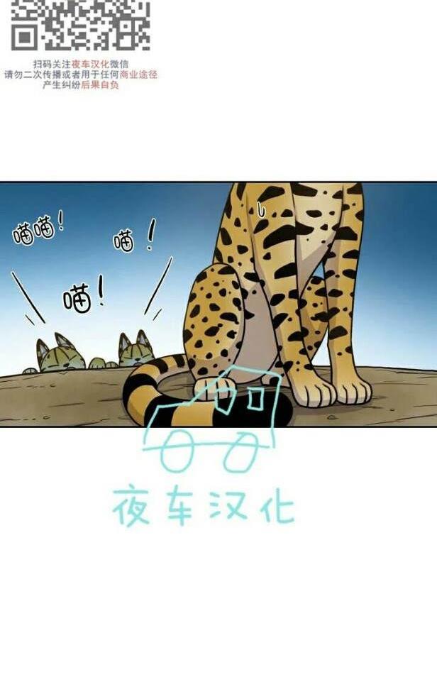 动物王国[耽美]韩漫全集-第49话无删减无遮挡章节图片 