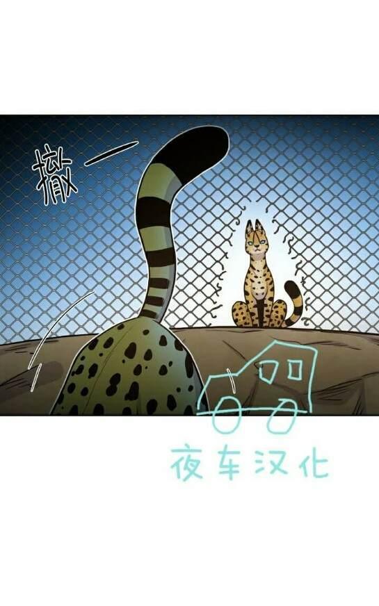 动物王国[耽美]韩漫全集-第49话无删减无遮挡章节图片 