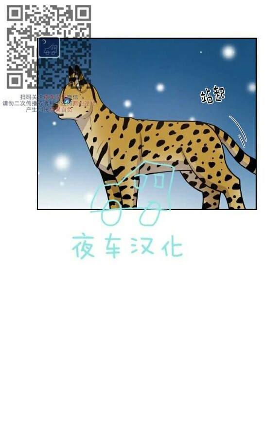 动物王国[耽美]韩漫全集-第49话无删减无遮挡章节图片 