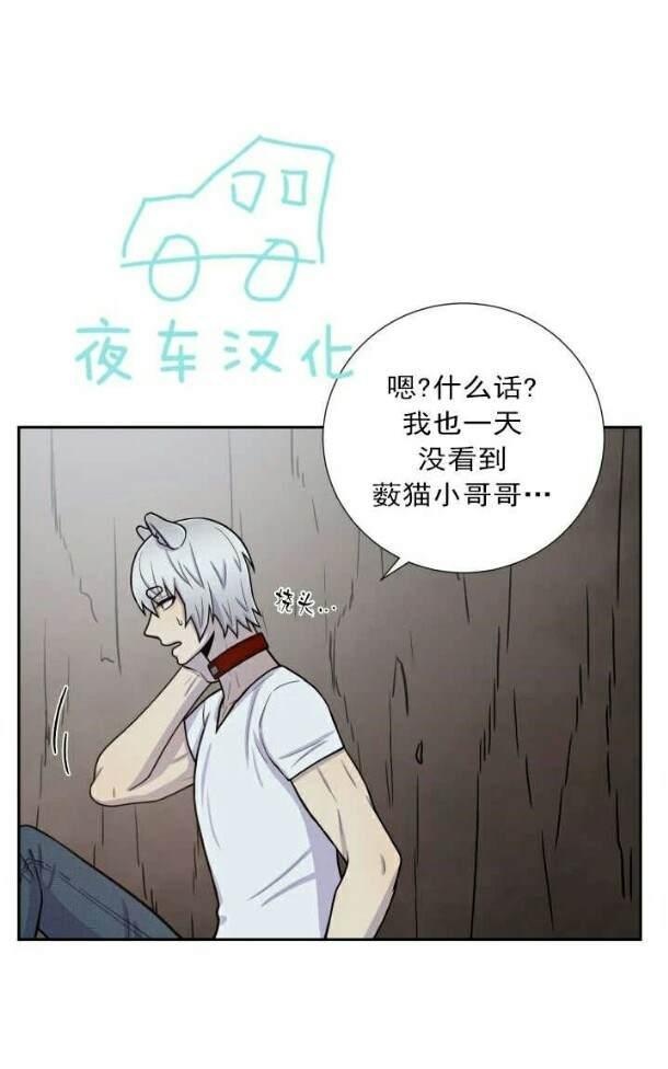 动物王国[耽美]韩漫全集-第50话无删减无遮挡章节图片 