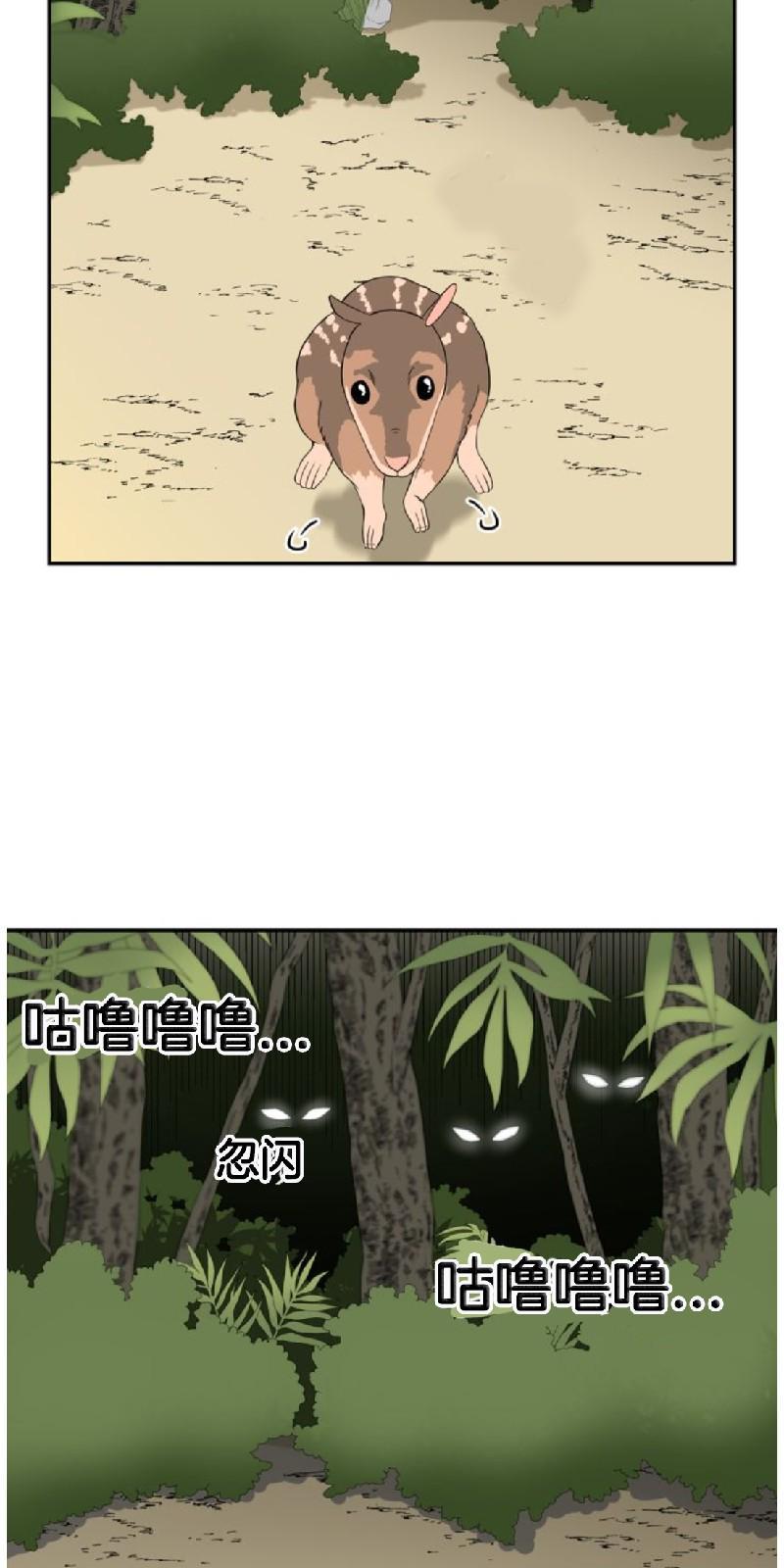 动物王国[耽美]韩漫全集-第二季 第1话无删减无遮挡章节图片 