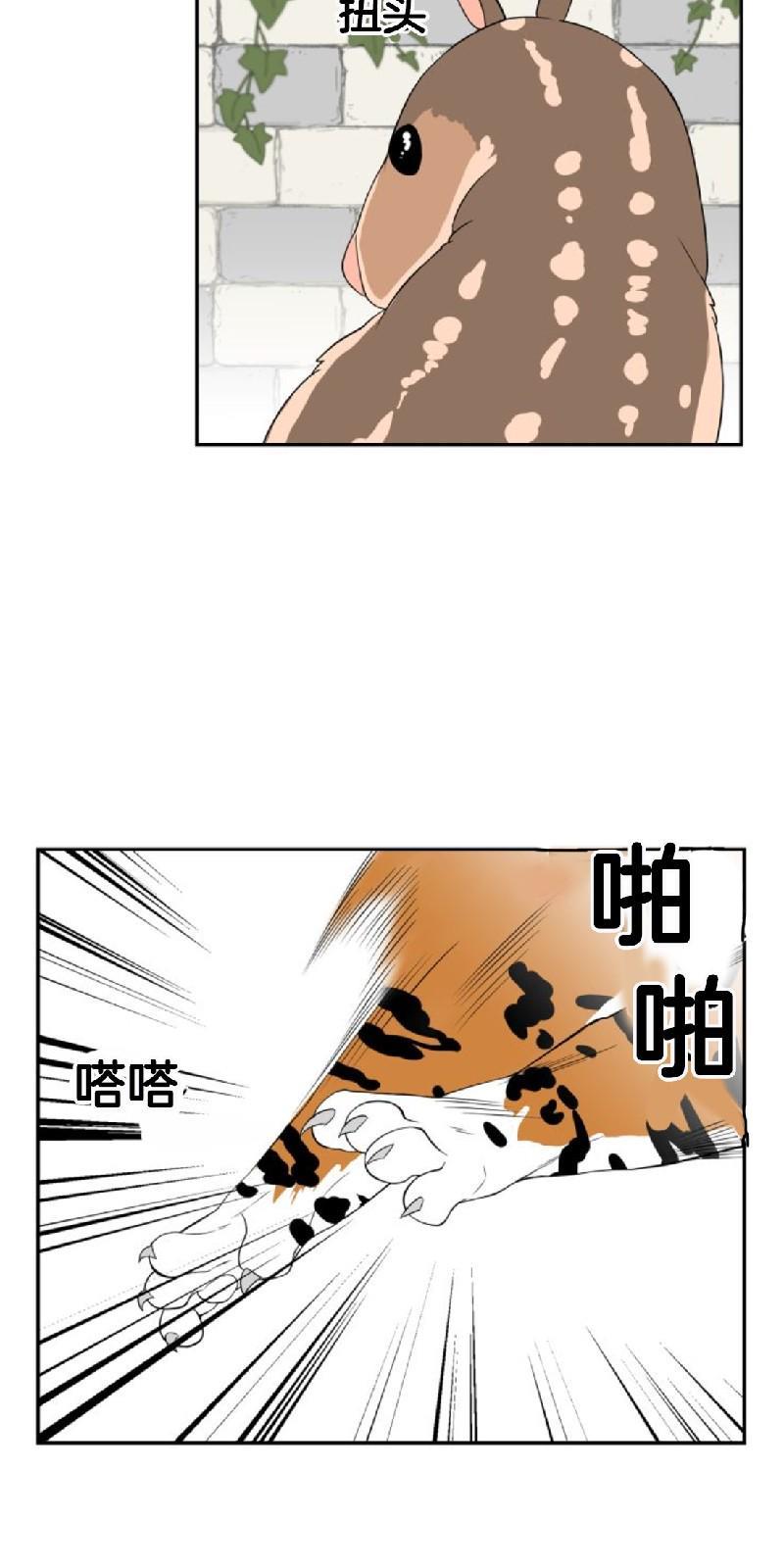 动物王国[耽美]韩漫全集-第二季 第1话无删减无遮挡章节图片 