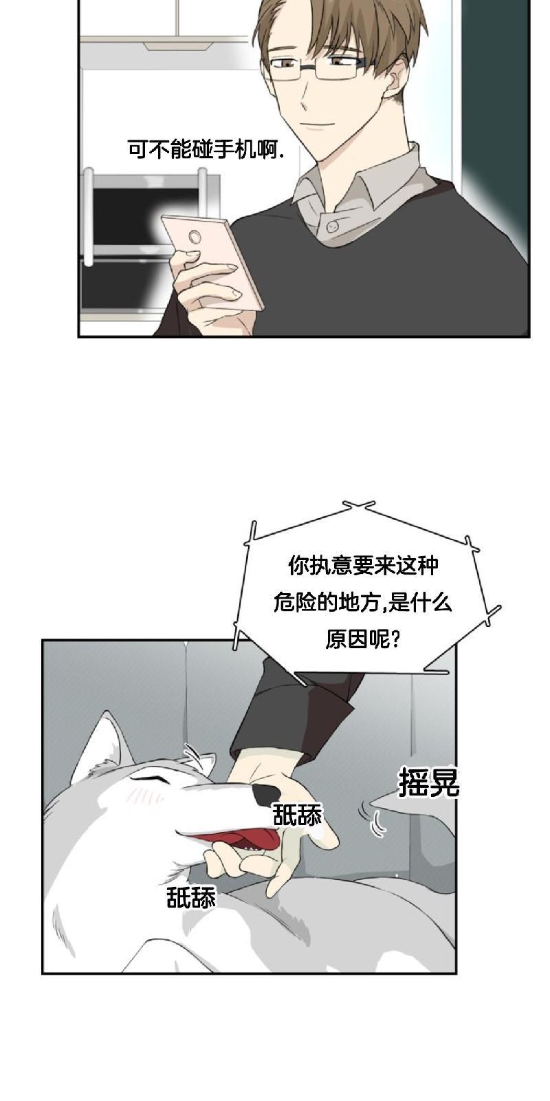 动物王国[耽美]韩漫全集-第二季 第1话无删减无遮挡章节图片 