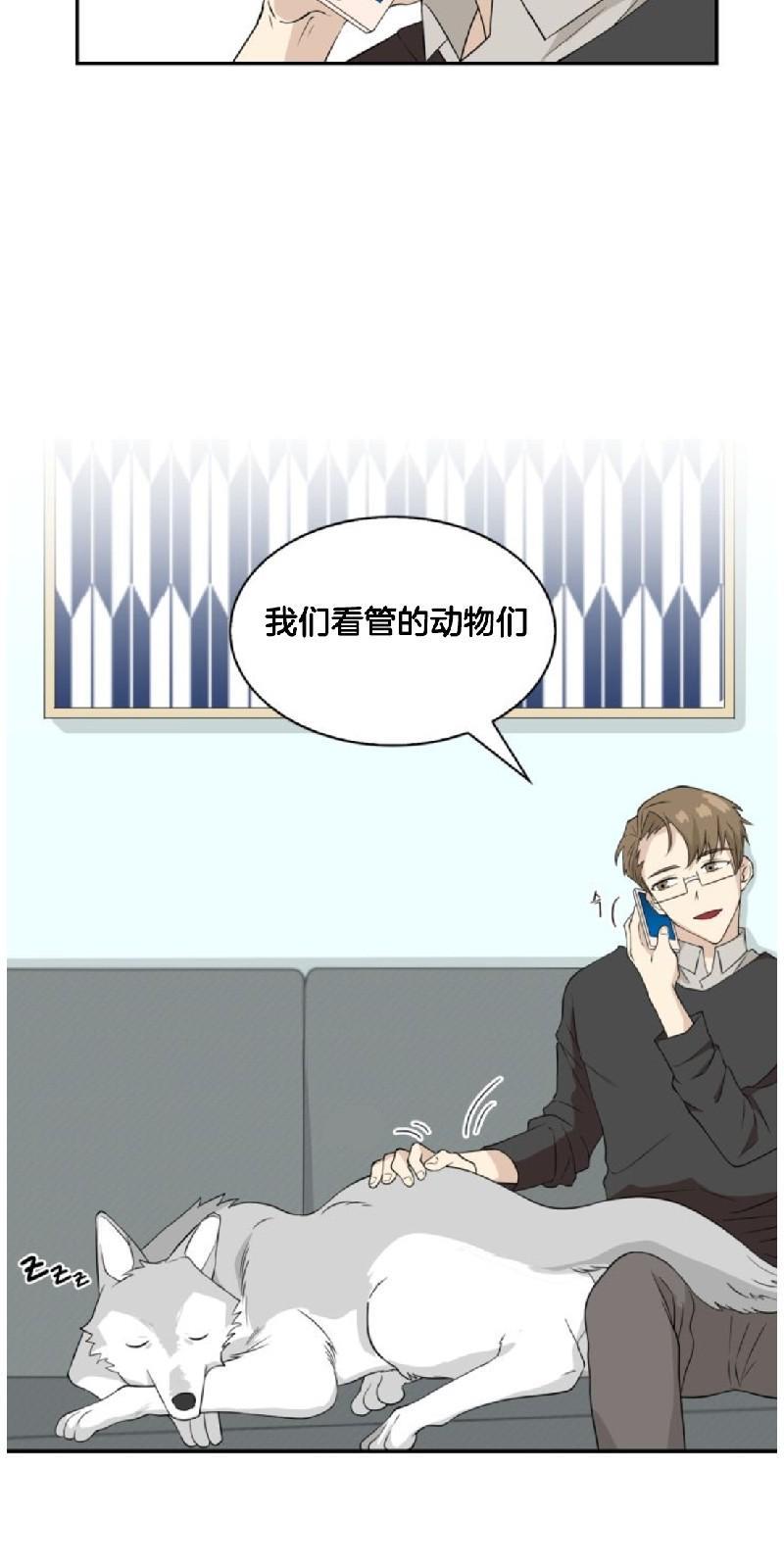 动物王国[耽美]韩漫全集-第二季 第1话无删减无遮挡章节图片 