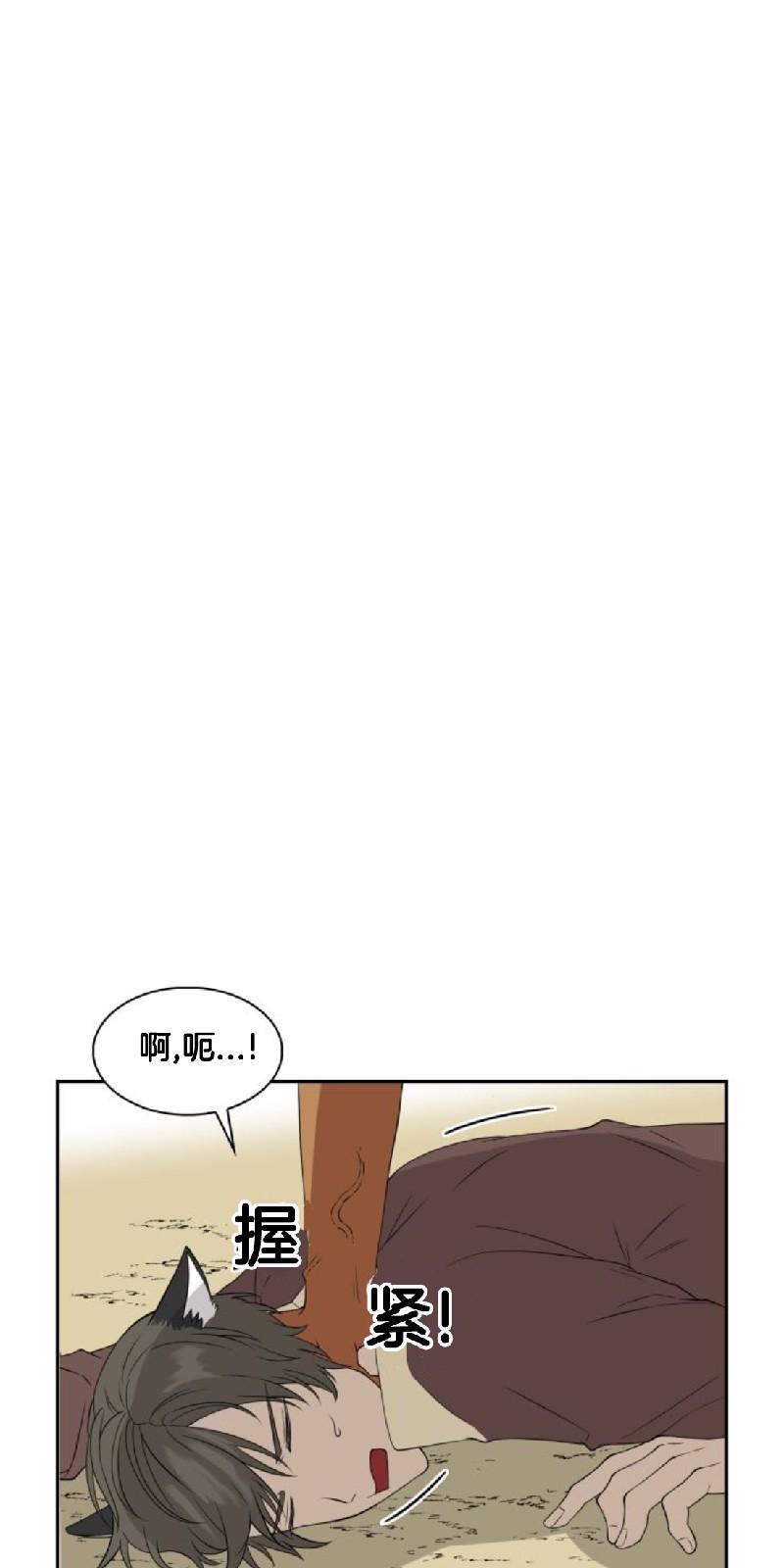 动物王国[耽美]韩漫全集-第二季 第1话无删减无遮挡章节图片 