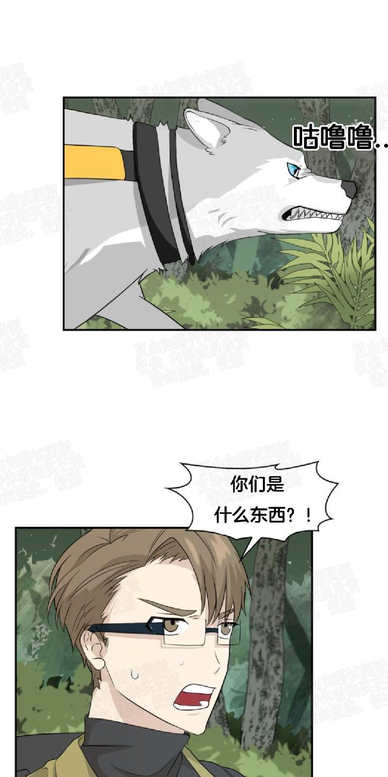 动物王国[耽美]韩漫全集-第3话无删减无遮挡章节图片 
