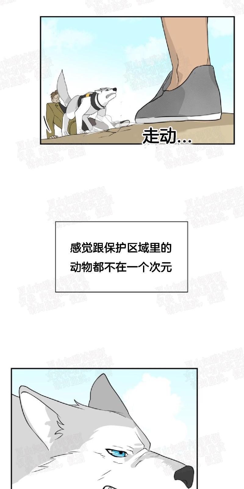 动物王国[耽美]韩漫全集-第3话无删减无遮挡章节图片 