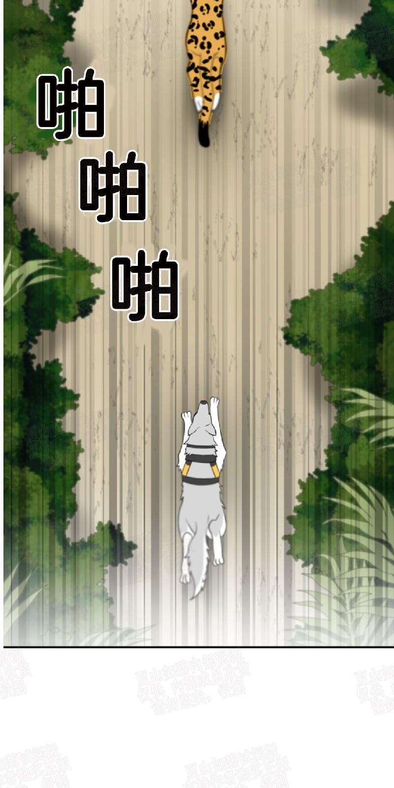 动物王国[耽美]韩漫全集-第4话无删减无遮挡章节图片 