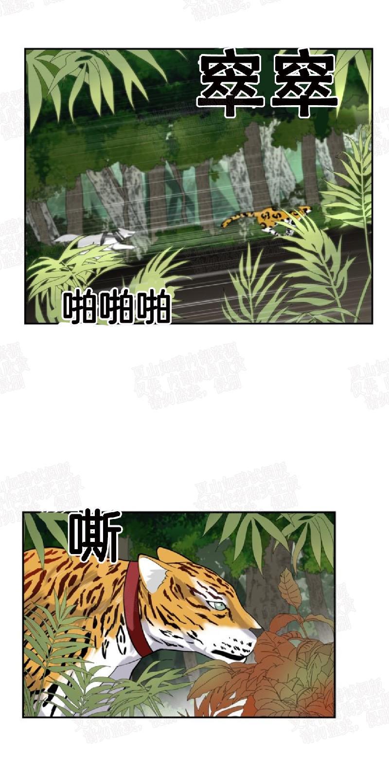 动物王国[耽美]韩漫全集-第4话无删减无遮挡章节图片 