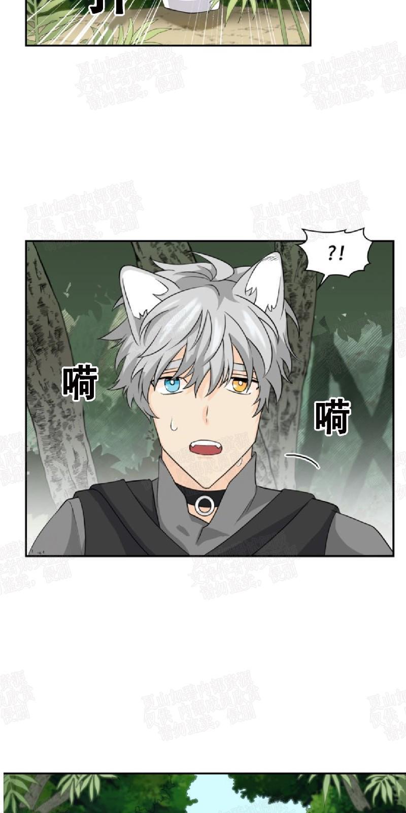 动物王国[耽美]韩漫全集-第4话无删减无遮挡章节图片 