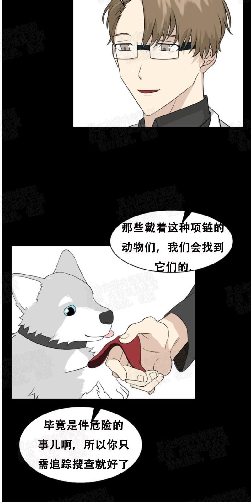 动物王国[耽美]韩漫全集-第4话无删减无遮挡章节图片 