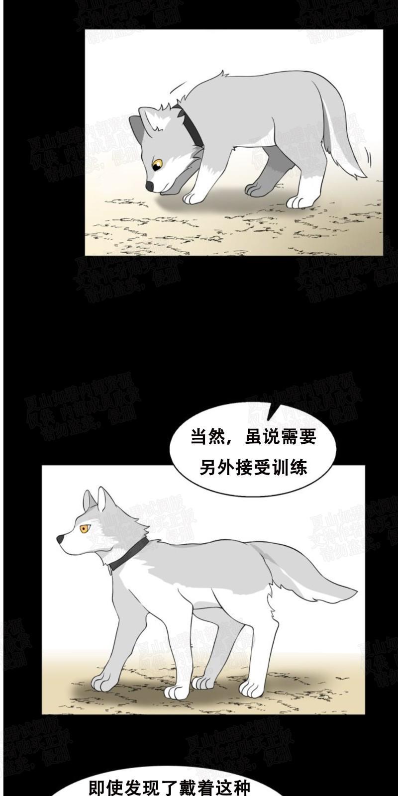 动物王国[耽美]韩漫全集-第4话无删减无遮挡章节图片 