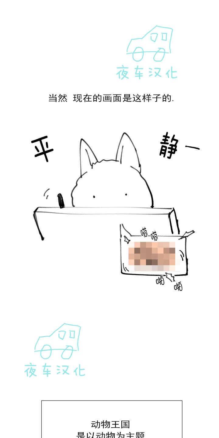 动物王国[耽美]韩漫全集-后记无删减无遮挡章节图片 