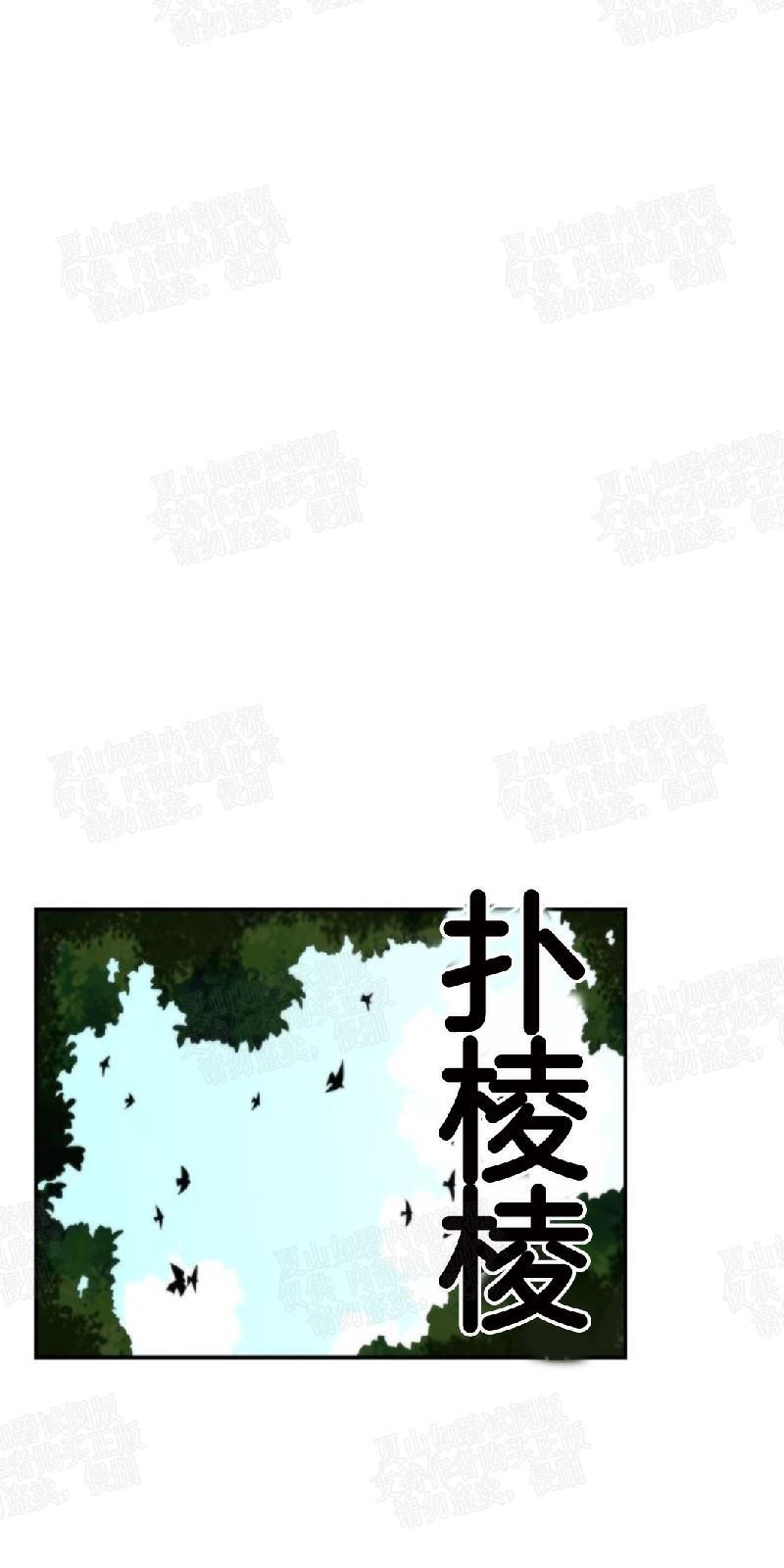 动物王国[耽美]韩漫全集-第5话无删减无遮挡章节图片 