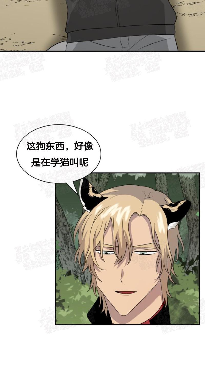 动物王国[耽美]韩漫全集-第5话无删减无遮挡章节图片 