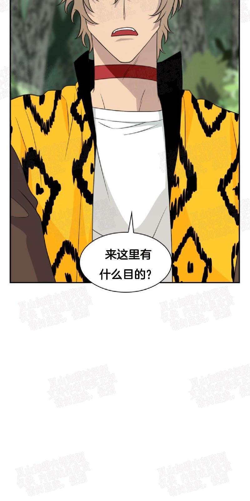 动物王国[耽美]韩漫全集-第5话无删减无遮挡章节图片 