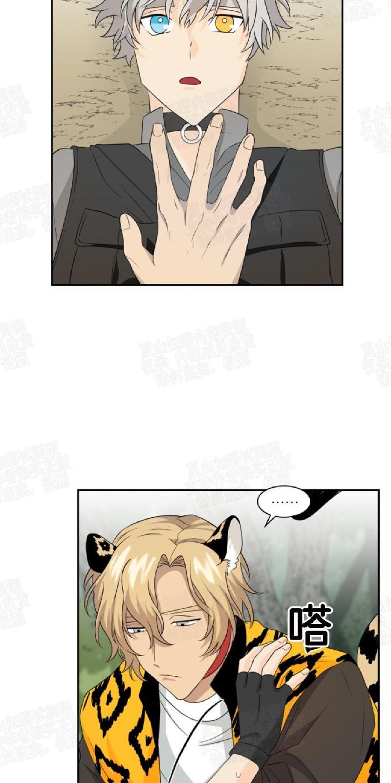 动物王国[耽美]韩漫全集-第5话无删减无遮挡章节图片 