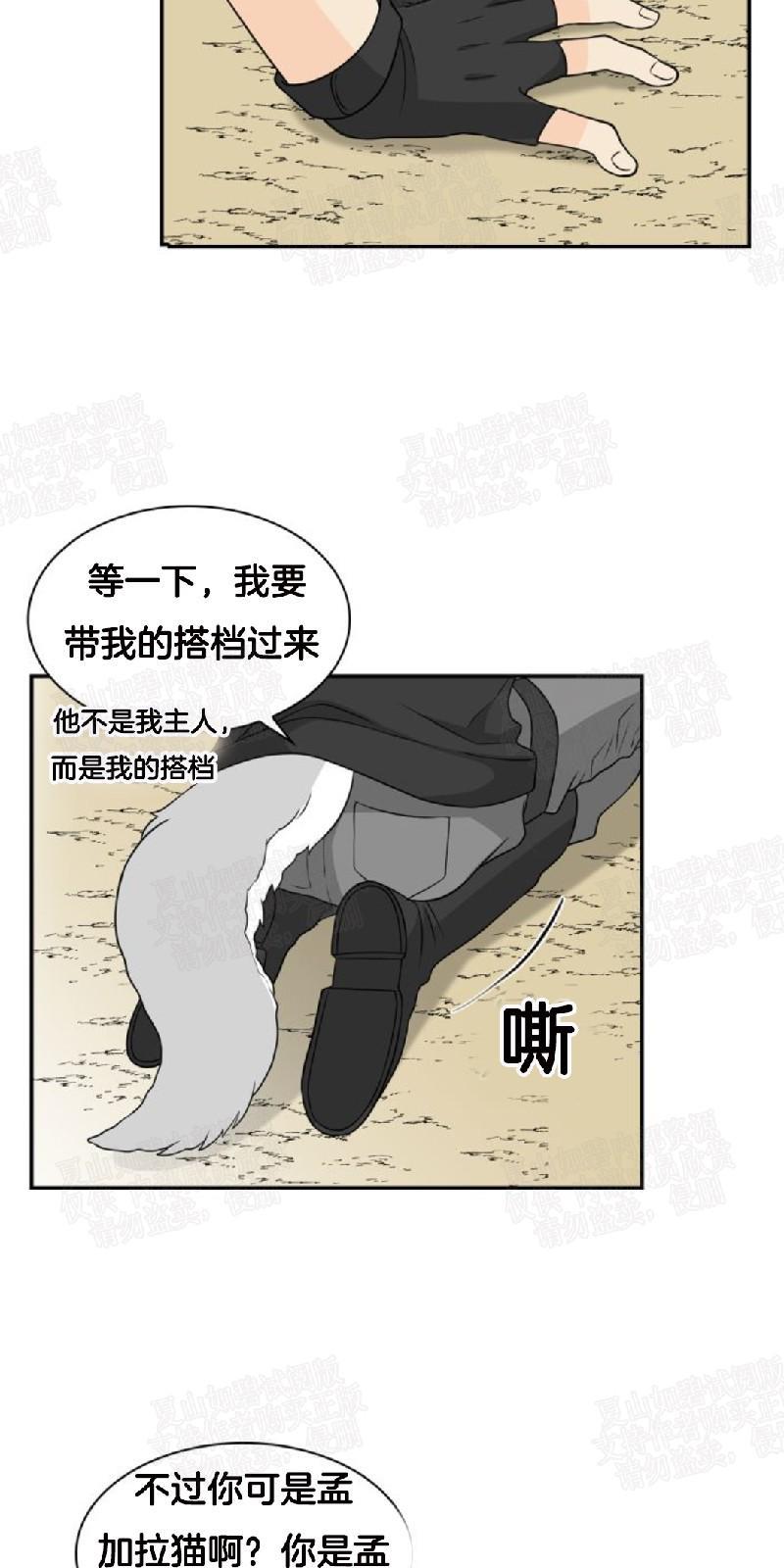 动物王国[耽美]韩漫全集-第5话无删减无遮挡章节图片 
