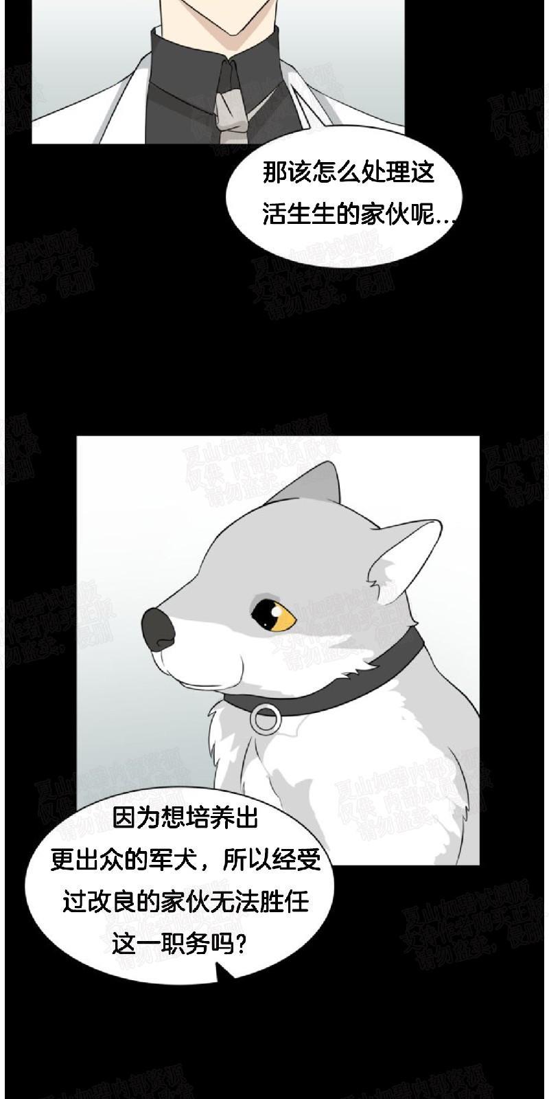 动物王国[耽美]韩漫全集-第6话无删减无遮挡章节图片 