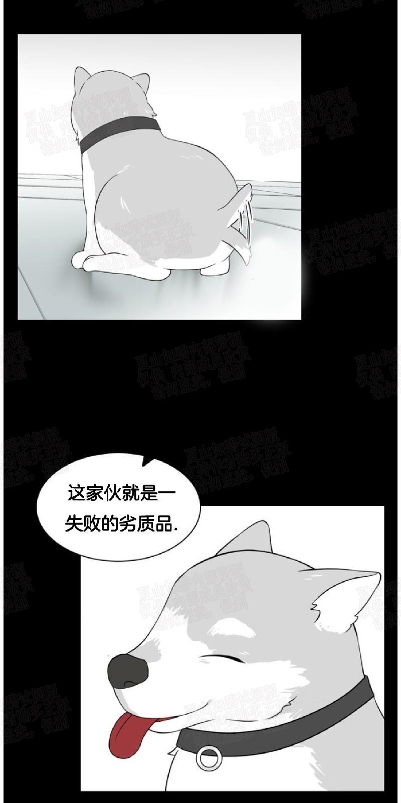 动物王国[耽美]韩漫全集-第6话无删减无遮挡章节图片 