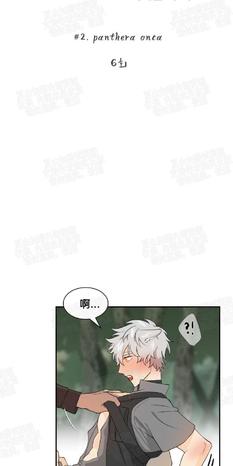 动物王国[耽美]韩漫全集-第6话无删减无遮挡章节图片 