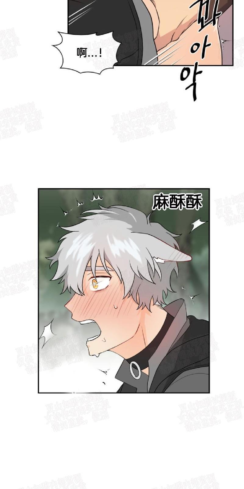 动物王国[耽美]韩漫全集-第7话无删减无遮挡章节图片 