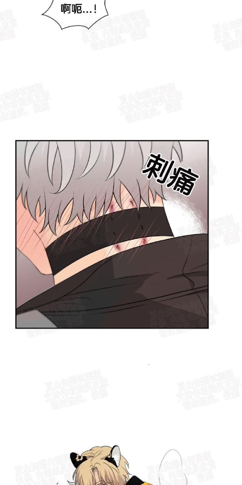 动物王国[耽美]韩漫全集-第7话无删减无遮挡章节图片 