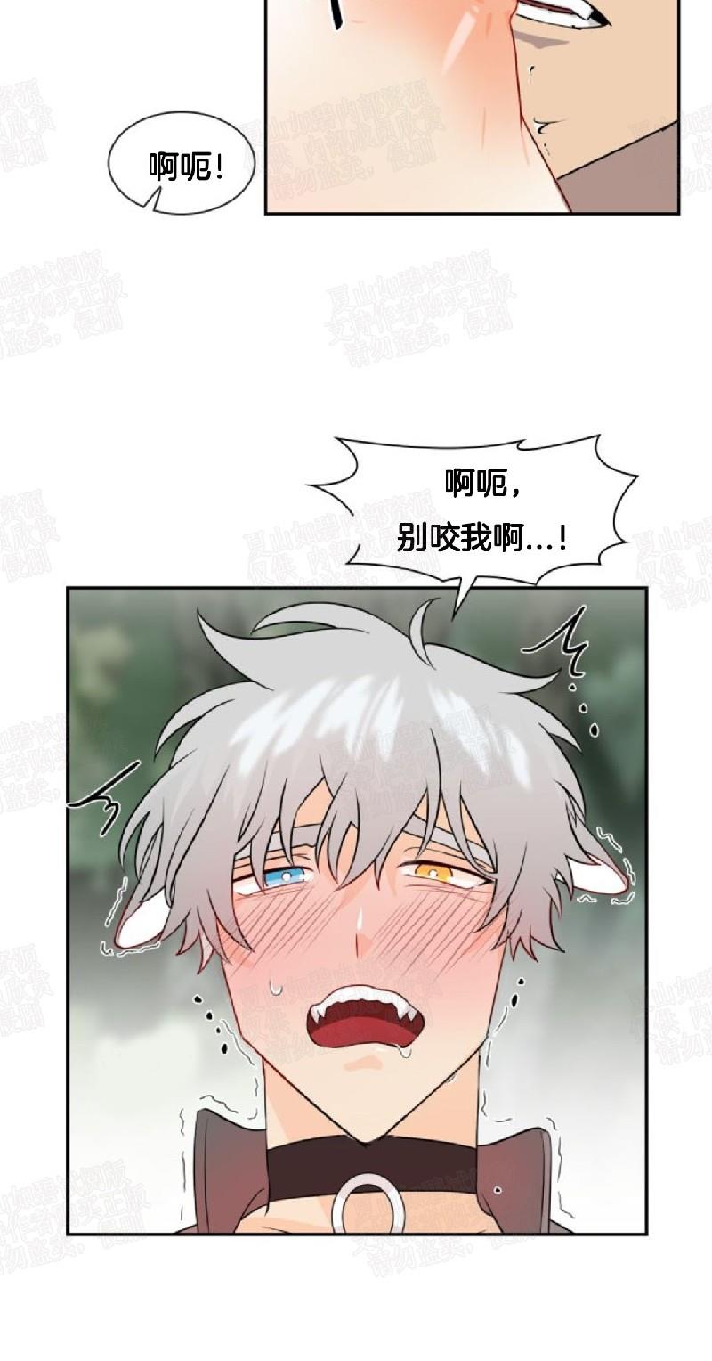 动物王国[耽美]韩漫全集-第7话无删减无遮挡章节图片 