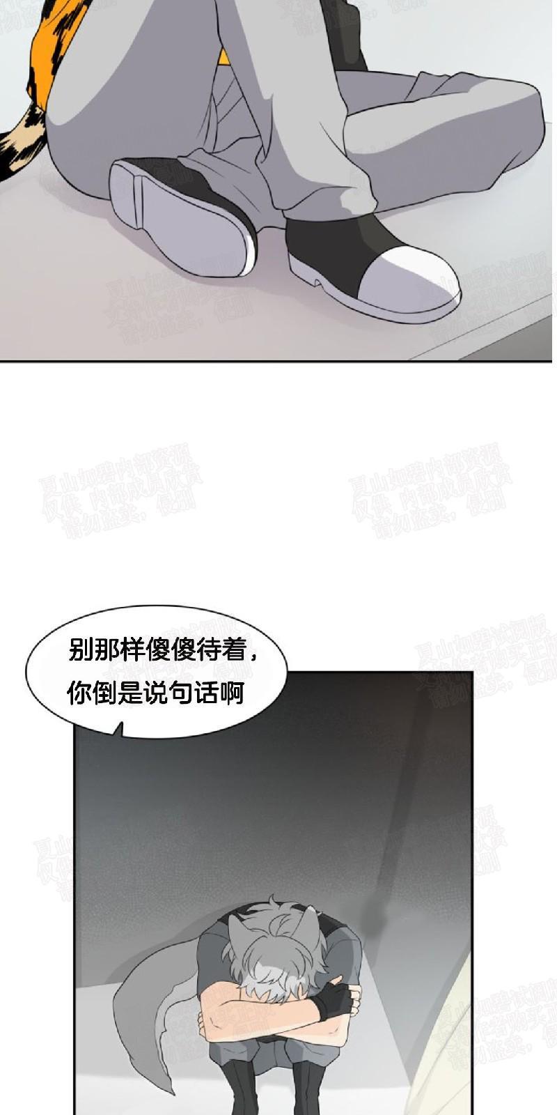 动物王国[耽美]韩漫全集-第9话无删减无遮挡章节图片 