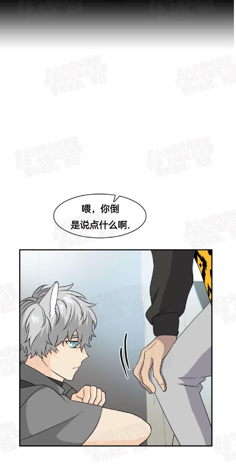 动物王国[耽美]韩漫全集-第9话无删减无遮挡章节图片 