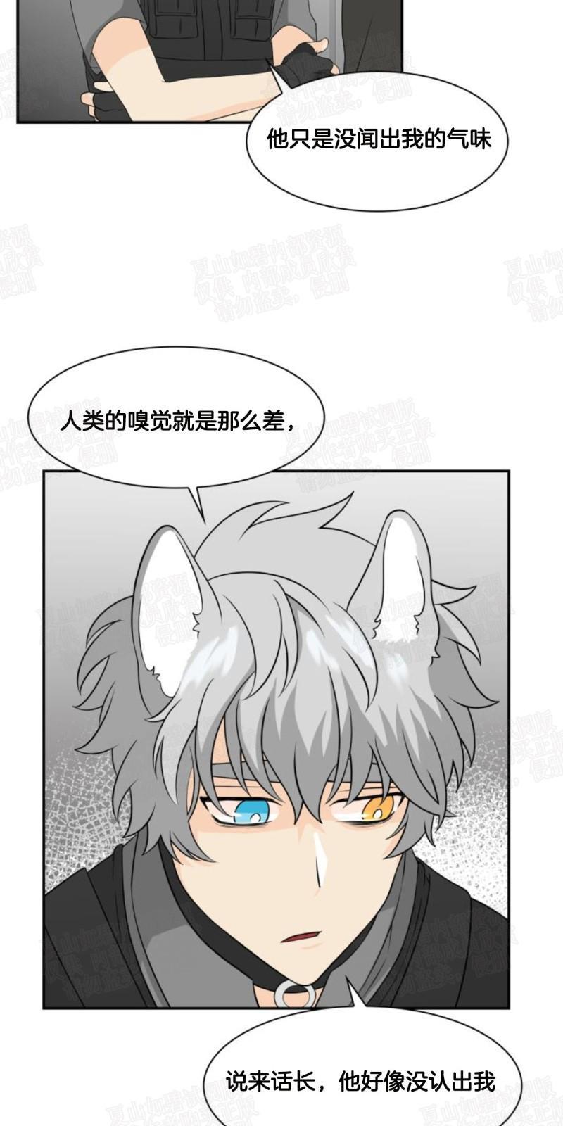 动物王国[耽美]韩漫全集-第9话无删减无遮挡章节图片 