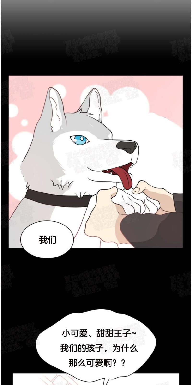 动物王国[耽美]韩漫全集-第11话无删减无遮挡章节图片 