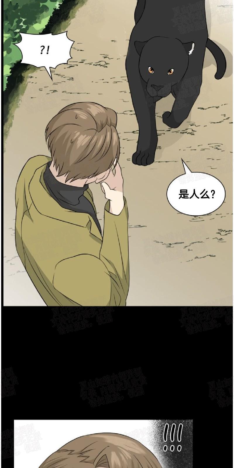 动物王国[耽美]韩漫全集-第11话无删减无遮挡章节图片 