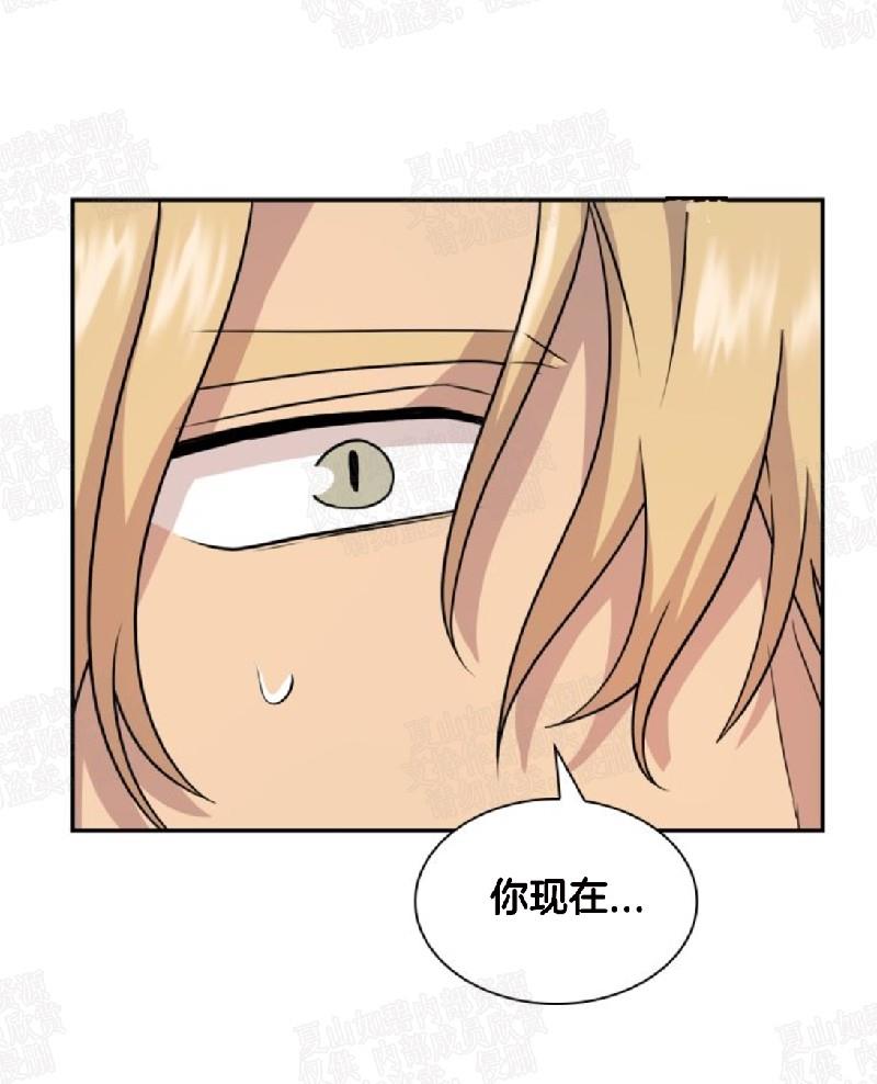 动物王国[耽美]韩漫全集-第16话无删减无遮挡章节图片 